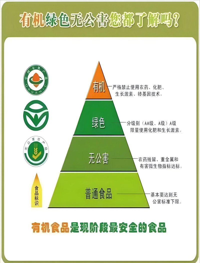 卫生执法大队与疾控中心合并：一场公共卫生革命