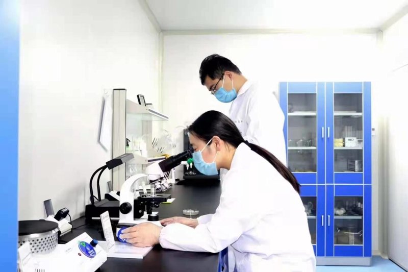 工具推荐类：深度剖析健康管理软件，助你轻松掌握健康服务与管理
